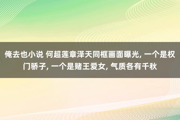 俺去也小说 何超莲章泽天同框画面曝光, 一个是权门骄子, 一